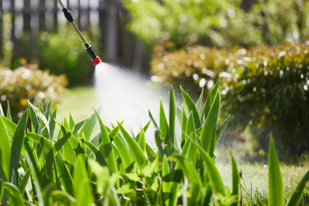 24/7 Emergency Mosquito Control experts in Medford, WI